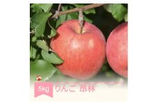 【先行予約】りんご 昂林 5kg 秀 2025年産 令和7年産 ja-rikrx5