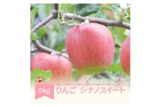 【先行予約】りんご シナノスイート 5kg 秀 2025年産 令和7年産 ja-rissx5
