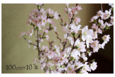 啓翁桜 100cm 10本 ケイオウザクラ さくら 2025年産 令和7年産 山形県村山市産 ja-ksxxx100