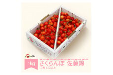 先行予約 さくらんぼ 佐藤錦 1kgバラ ◯秀 L玉以上 2026年産 令和8年産 ja-snbax1