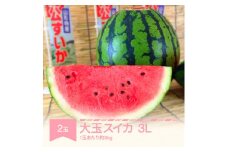 すいか 大玉 3L×2玉入り 令和7年産 2025年産 山形県村山市産 mk-suoox8