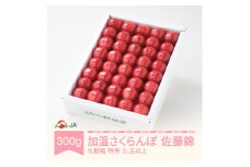 先行予約 加温ハウス さくらんぼ 佐藤錦 2025年産 令和7年産 300g 化粧箱 特秀2L玉以上 早出し ja-snk2x300