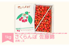 先行予約 さくらんぼ 佐藤錦 赤秀 L玉 1kg バラ詰 ご家庭用 2025年産 令和7年産 山形県産 mm-snalx1000