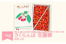 先行予約 さくらんぼ 佐藤錦 赤秀 M玉 1kg バラ詰 ご家庭用 2025年産 令和7年産 山形県産 mm-snamx1000