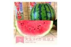 すいか 大玉 6L×1玉入り 令和7年産 山形県村山市産 mk-suoox11