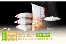 【先行予約】 新米 米 はえぬき 隔月定期便 20kg×3回 精米 令和7年産 2025年産 2025年11月中旬～ ja-haxxa20-sk11to3b