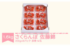 先行予約 さくらんぼ 佐藤錦 赤秀品 M玉 200g×8パック ご家庭用 2025年産 令和7年産 山形県産 mm-snpmx1600