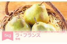 【先行予約】ラ・フランス 洋梨 ラフランス 5kg 特秀品 贈答 令和7年産 2025年産 果物 mm-latsx5