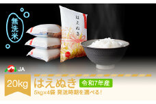 【先行予約】新米 米 20kg 5kg×4 はえぬき 無洗米 令和7年産 2025年11月中旬 ja-hamxa20-11b