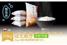 【先行予約】新米 米 20kg 5kg×4 はえぬき 無洗米 令和7年産 2026年3月下旬 ja-hamxa20-3c