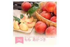 【先行予約】もも 桃 あかつき 約2kg 令和七年産 2025年産 果物 mm-moatx2