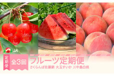 【先行予約】フルーツ 定期便 さくらんぼ 佐藤錦 すいか もも 桃 川中島 全3回 果物 フルーツ 2025年産 山形県産 ja-ft3xx