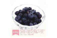 フローズンフルーツ ブルーベリー 冷凍 果物 ns-ffbbx