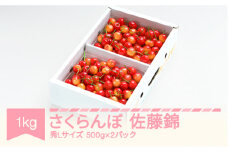 先行予約 さくらんぼ 佐藤錦 秀Lサイズ プレゼント ギフト バラ詰め 1kg(500g×2パック) 2026年産 令和8年産 山形県産 ns-snslb1