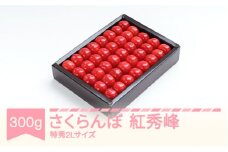 先行予約 さくらんぼ 紅秀峰 特秀2Lサイズ 300g 化粧箱鏡詰め 2026年産 令和8年産 山形県産 ns-bst2x300