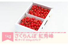 先行予約 さくらんぼ 紅秀峰 秀Lサイズ 1㎏ バラ詰め 化粧箱 (500gx2) 2026年産 令和8年産 山形県産 ns-bsslb1