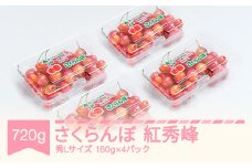 先行予約 さくらんぼ 紅秀峰 秀Lサイズ 720g (180gx4パック) フードパック 2026年産 令和8年産 山形県産 ns-bsslp800