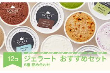 ジェラート おすすめ 12個 セット 手作り アイス 国産 詰め合わせ cb-gesxx12