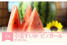 【先行予約】すいか ピノガール 小玉 2玉入り 計 約3.2kg 2025年産 令和七年産 山形県産 mm-supgx2 ※沖縄・離島への配送不可