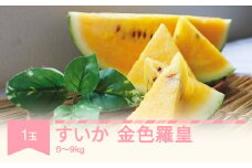 【先行予約】すいか 金色羅皇 1玉入り (6〜9kg) 2025年産 令和七年産 山形県産 mm-sukrx1 ※沖縄・離島への配送不可