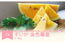 【先行予約】すいか 金色羅皇 1玉入り (6〜9kg) 2026年産 令和8年産 山形県産 mm-sukrx1 ※沖縄・離島への配送不可