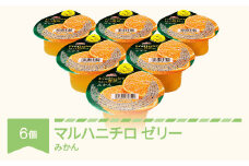 マルハニチロ カップゼリー フルティシエ ちょっと贅沢シリーズ みかん 6個入×1箱 ku-czmix6