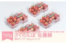 先行予約 さくらんぼ 佐藤錦 秀Mサイズ 720g (180gx4パック) フードパック 2026年産 令和8年産 山形県産 ns-snsmp800
