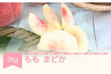 【先行予約】もも 桃 まどか 約2kg 令和七年産 2025年産 山形県産 果物 送料無料 mm-momdx2