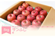 【先行予約】りんご サンふじ 約5kg 秀品 リンゴ 林檎 令和7年産 2025年産 果物 山形県産 mm-risfs5