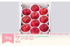 【先行予約】りんご サンふじ 約3kg 特秀品 リンゴ 林檎 令和7年産 2025年産 果物 山形県産 mm-risft3