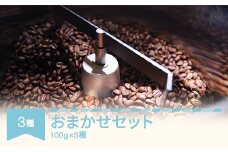 コーヒー おまかせセット 100g×3種セット 挽き rv-cfomx300-oh