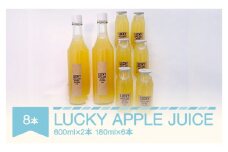 りんごジュース リンゴ 100% LUCKY APPLE JUICE 600ml×2本 180ml×6本 山形県村山市 em-rjxxx8