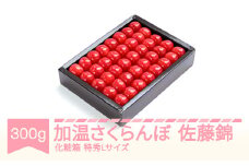 先行予約 加温 さくらんぼ 佐藤錦 特秀Lサイズ プレゼント ギフト 化粧箱鏡詰め 300g 2026年産 令和8年産 山形県産 ns-sntlx300