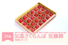 先行予約 加温 さくらんぼ 佐藤錦 特秀Lサイズ プレゼント ギフト チョコ箱入 24粒 2026年産 令和8年産 山形県産 ns-sntlc24