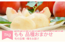 【先行予約】もも 桃 品種おまかせ 約5kg 令和7年産 2025年産 果物 フルーツ mm-moomx5000