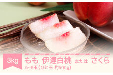 【先行予約】もも 桃 伊達白桃またはさくら 約3kg 令和7年産 2025年産 果物 フルーツ ギフト 贈答用 大玉 mm-modsx3000