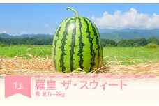 【先行予約】すいか 羅皇ザ・スウィート 1玉入り (8〜9kg) 令和7年産 2025年産 果物 no-surox1 ※沖縄・離島への配送不可