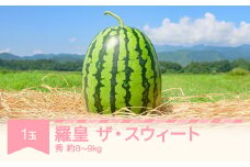 【先行予約】すいか 羅皇ザ・スウィート 1玉 (8kg~9kg) 令和8年産 2026年産 果物 no-surox1 ※沖縄・離島への配送不可