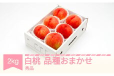 【先行予約】白桃 秀品 品種おまかせ 化粧箱入り 約2kg 令和七年産 2025年産 山形県産 果物 送料無料 ns-mohtx2