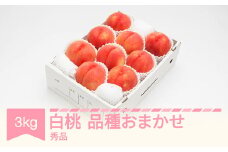 【先行予約】白桃 秀品 品種おまかせ 化粧箱入り 約3kg 令和七年産 2025年産 山形県産 果物 送料無料 ns-mohtx3