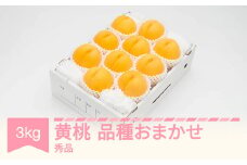 有袋黄桃 秀品 品種おまかせ 化粧箱入り 約3kg 令和7年産 2025年産 山形県産 果物 送料無料 ※沖縄・離島への配送不可 ns-mootx3