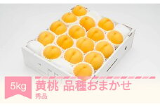 有袋黄桃 秀品 品種おまかせ 化粧箱入り 約5kg 令和7年産 2025年産 山形県産 果物 送料無料 ※沖縄・離島への配送不可 ns-mootx5