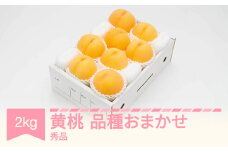 有袋黄桃 秀品 品種おまかせ 化粧箱入り 約2kg 令和7年産 2025年産 山形県産 果物 送料無料 ※沖縄・離島への配送不可 ns-mootx2