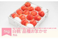 【先行予約】白桃 秀品 品種おまかせ 化粧箱入り 約5kg 令和七年産 2025年産 山形県産 果物 送料無料 ns-mohtx5