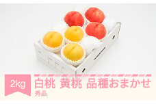 【先行予約】白桃＆有袋黄桃 秀品 品種おまかせ 化粧箱入り 約2kg 令和七年産 2025年産 山形県産 果物 送料無料 ns-mohot2