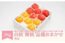 【先行予約】白桃＆有袋黄桃 秀品 品種おまかせ 化粧箱入り 約3kg 令和七年産 2025年産 山形県産 果物 送料無料 ns-mohot3