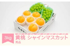 有袋黄桃 秀品＆シャインマスカット 品種おまかせ 詰め合わせ 約3kg 令和7年産 2025年産 果物 送料無料 ns-fsosx3