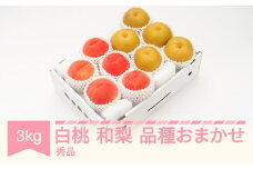 【先行予約】 白桃 秀品＆和梨 品種おまかせ 詰め合わせ 約3kg 令和8年産 2026年産 果物 フルーツ 桃 送料無料 ns-fshnx3