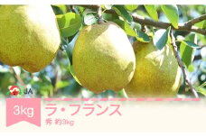 【先行予約】ラ・フランス 洋梨 ラフランス 秀 約3kg 2025年産 令和7年産 果物 ja-lasyx3