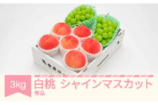 【先行予約】白桃秀品＆シャインマスカット 品種おまかせ 詰め合わせ 約3kg 令和七年産 2025年産 果物  送料無料 ns-fshsx3
